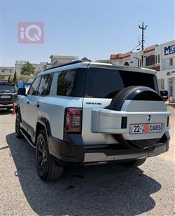 دينزا B8